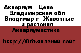 Аквариум › Цена ­ 2 500 - Владимирская обл., Владимир г. Животные и растения » Аквариумистика   